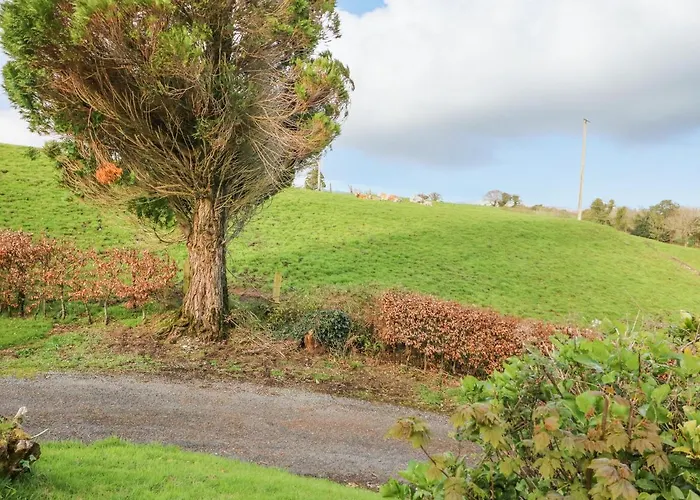 Roughty Bridge View *